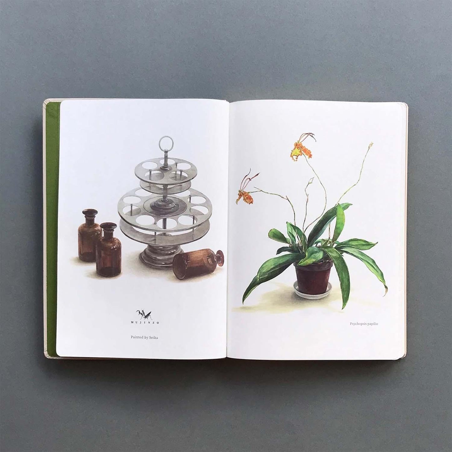 MUJINZO Notizbuch A5 „Psychopsis Papilio“