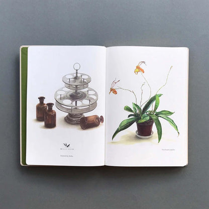 MUJINZO Notizbuch A5 „Psychopsis Papilio“