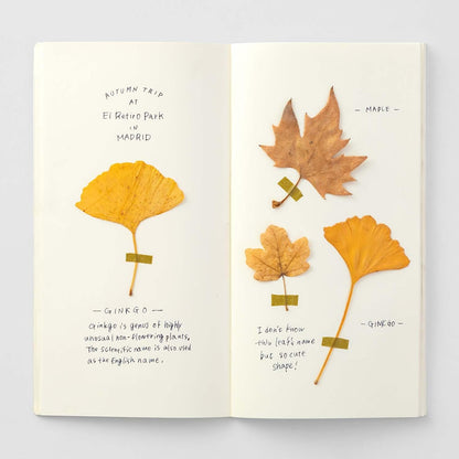 TN Regular 025 Refill MD Paper Cream