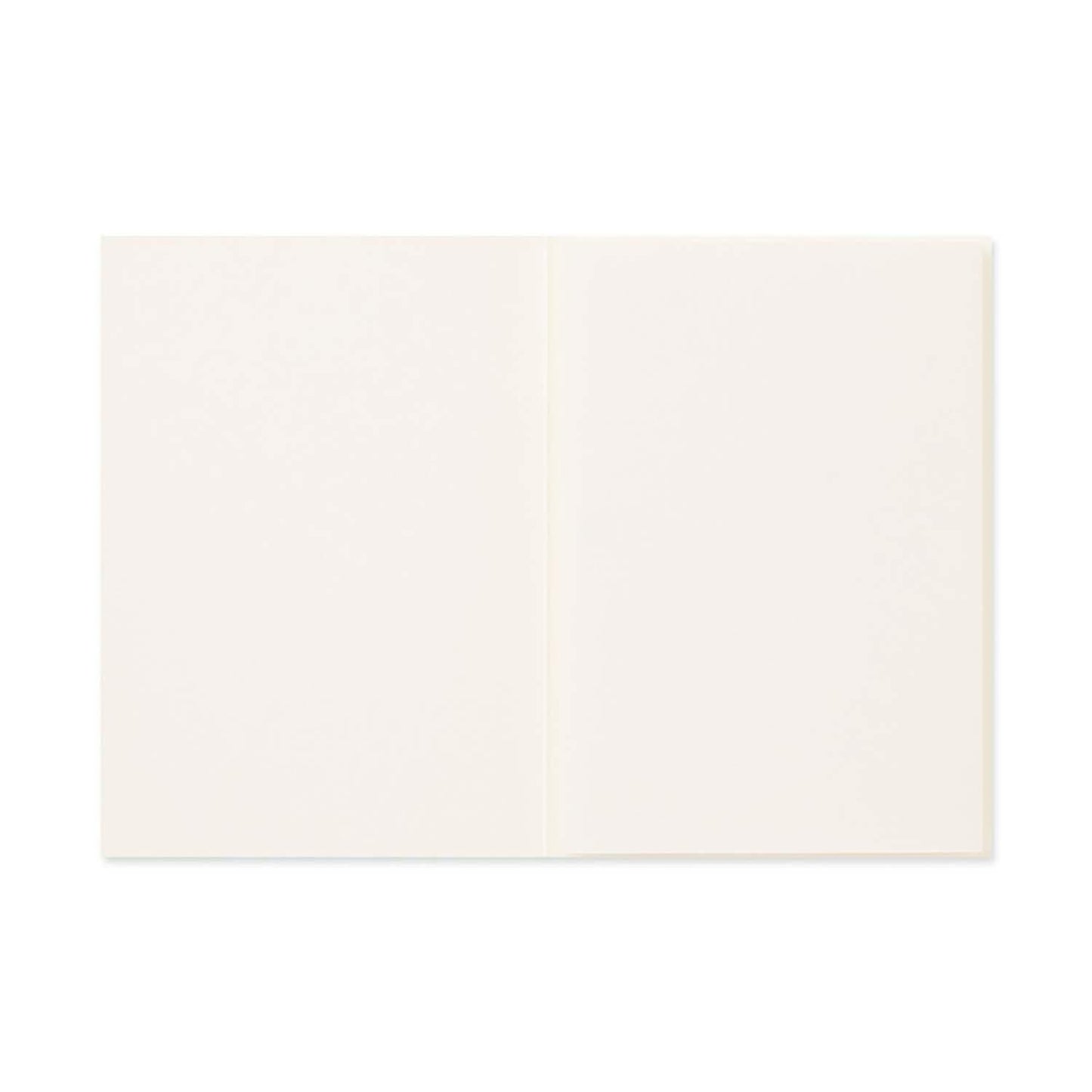 TN Passport 018 Refill Accordion Fold Paper