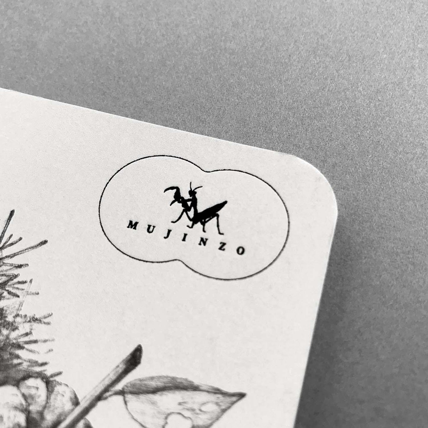 MUJINZO Notebook A6 Dekopon Citrus Wolf