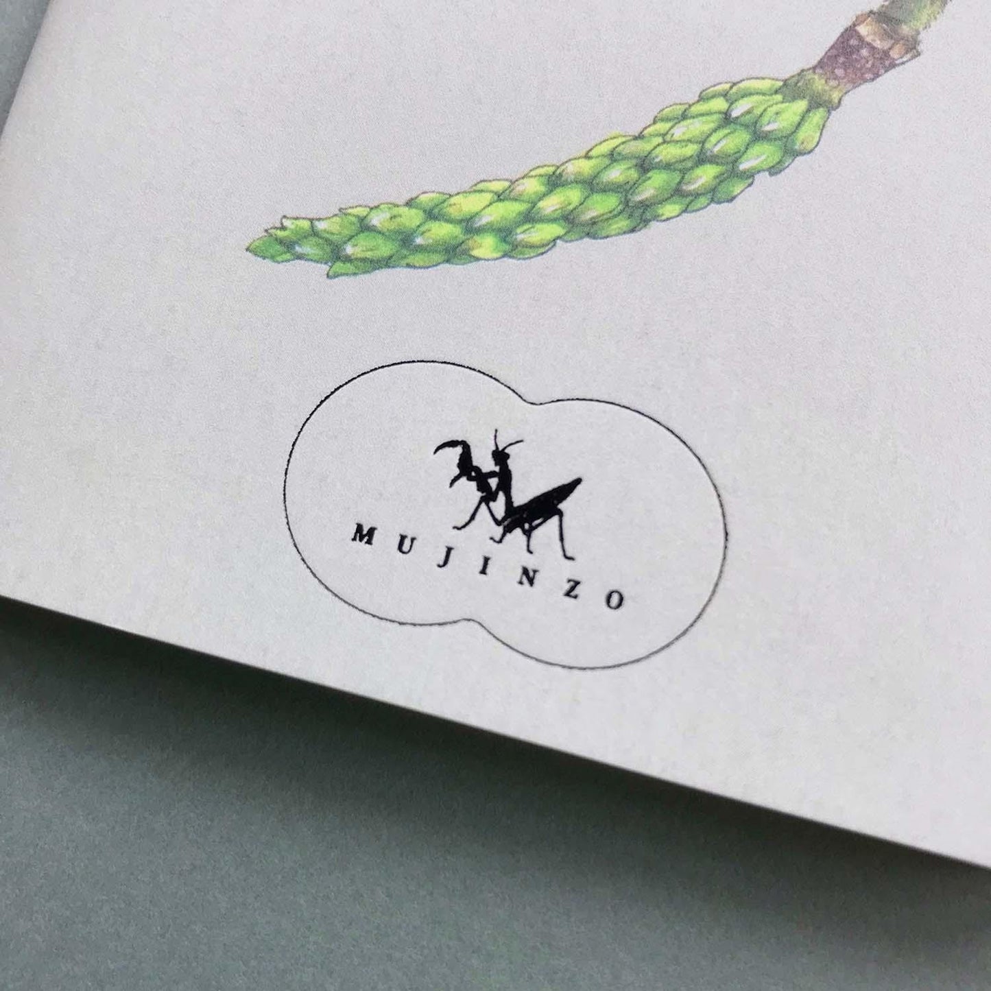 MUJINZO Notebook A6 Magnolia