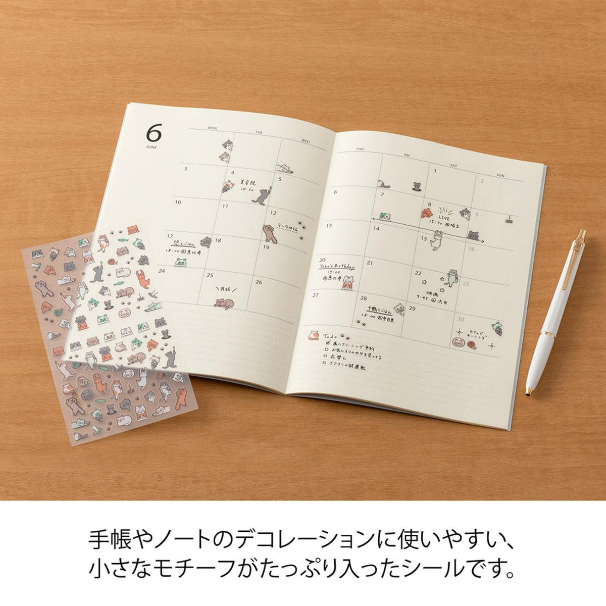 MIDORI Sticker 2739 Lined Cat