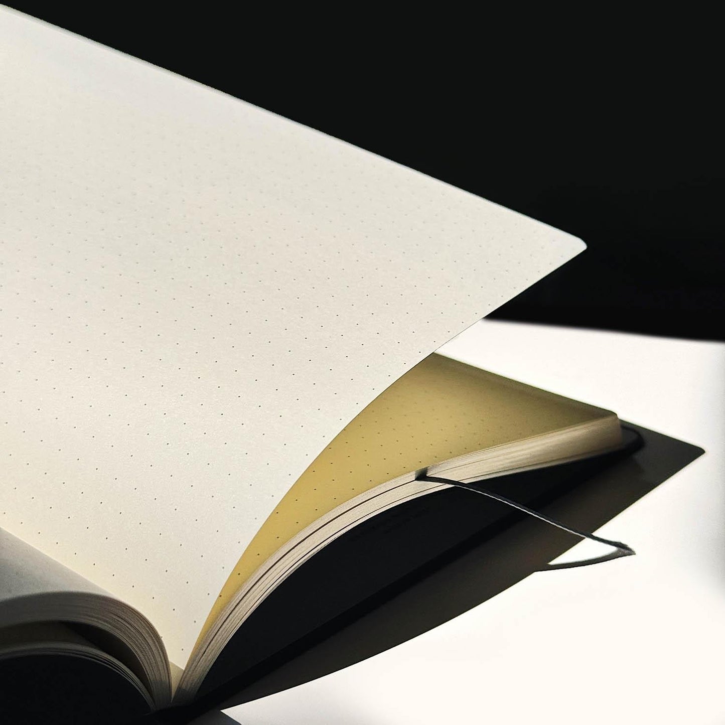 FIND EDGE NOTEBOOK TONOCO