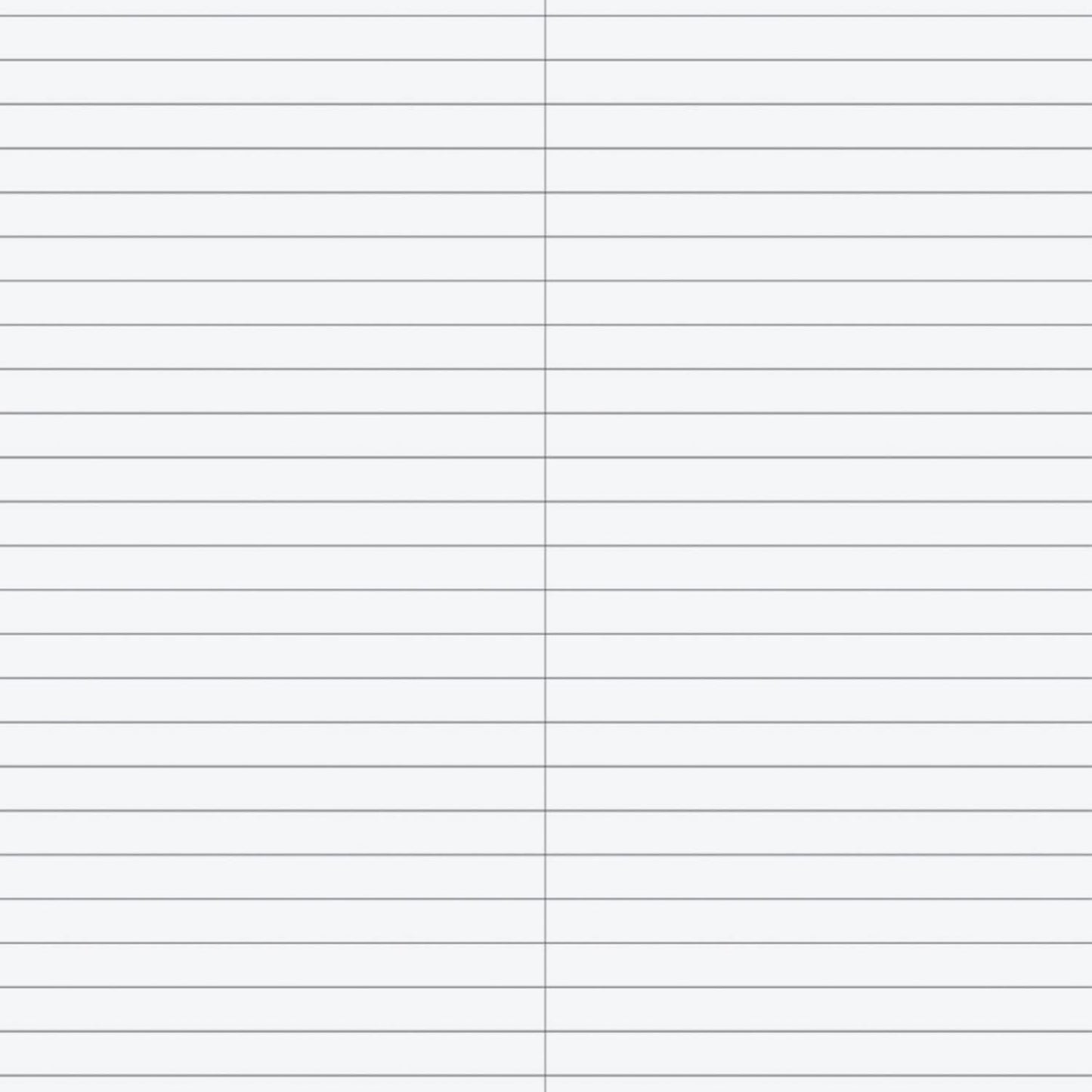 PERPANEP Notebook ZARAZARA 6mm Steno A5