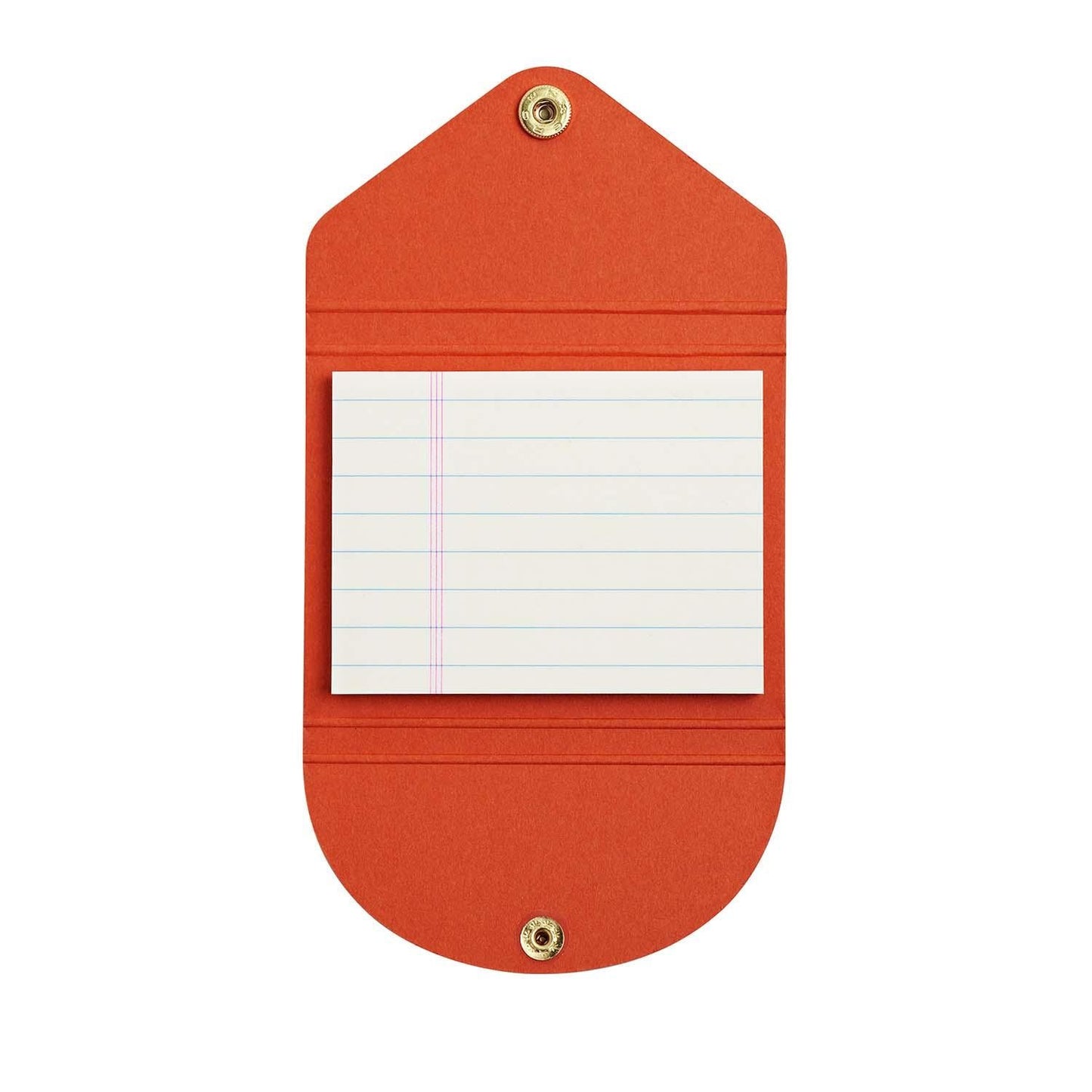 STICKY NOTES BLUE + RED